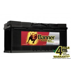 BANNER Power Pro P10040 100Ah battery