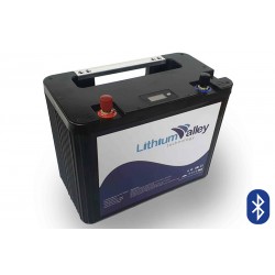 Lithium Valley 12.8V 120Ah Lithium Ion deep cycle battery
