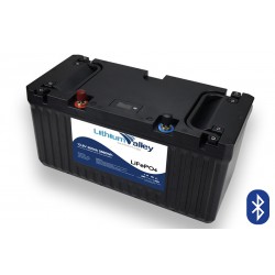 Lithium Valley 12.8V 200Ah Lithium Ion deep cycle battery