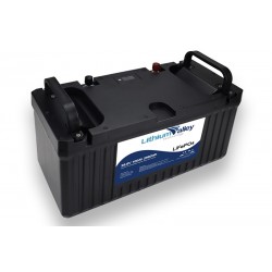 Lithium Valley 25.6V 100Ah Lithium Ion deep cycle battery