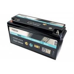Batteries Lithium ion (LiFePo4) deep cycle batteries (6) - AUVIRAS