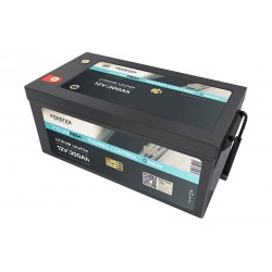 Batteries Lithium ion (LiFePo4) deep cycle batteries (6) - AUVIRAS