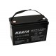NEATA LFP12-100-2 12.8V 100Ah Lithium Ion battery