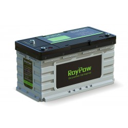 RoyPow S12105C 12.8V 100Ah IP65 Lithium Ion deep cycle battery