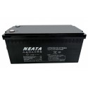 NEATA LFP36100 38.4V 100Ah Lithium Ion battery with Bluetooth