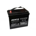 NEATA LFP12-100-1 12.8V 100Ah Lithium Ion battery