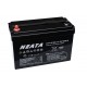 NEATA LFP12-100-2 12.8V 100Ah Lithium Ion battery