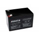 NEATA LFP12-12 12.8V 12Ah Lithium Ion battery