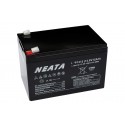 NEATA LFP12-12 12.8V 12Ah Lithium Ion battery