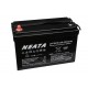 NEATA LFP24050 25.6V 50Ah Lithium Ion battery with Bluetooth