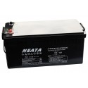 NEATA LFP24200 25.6V 200Ah Lithium Ion battery with Bluetooth