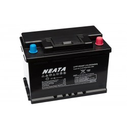 NEATA LFP1254AT 12.8V 54Ah Lithium Ion dual battery