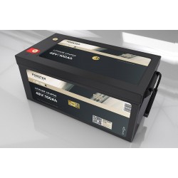 FORSTER Premium F48-100X 51.2V 100Ah Lithium Ion battery