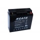 NEATA NTG12-22 GEL 22Ah VRLA battery