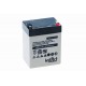 IntAct BP12-2.9 12V 2.9Ah AGM VRLA battery
