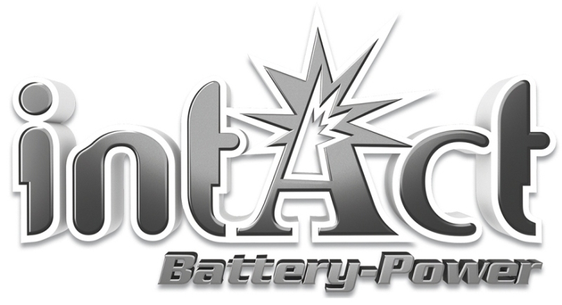 Intact 61028 Start-Power 110Ah LKW-Batterie