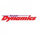 Team Dynamics gamintojo logotipas